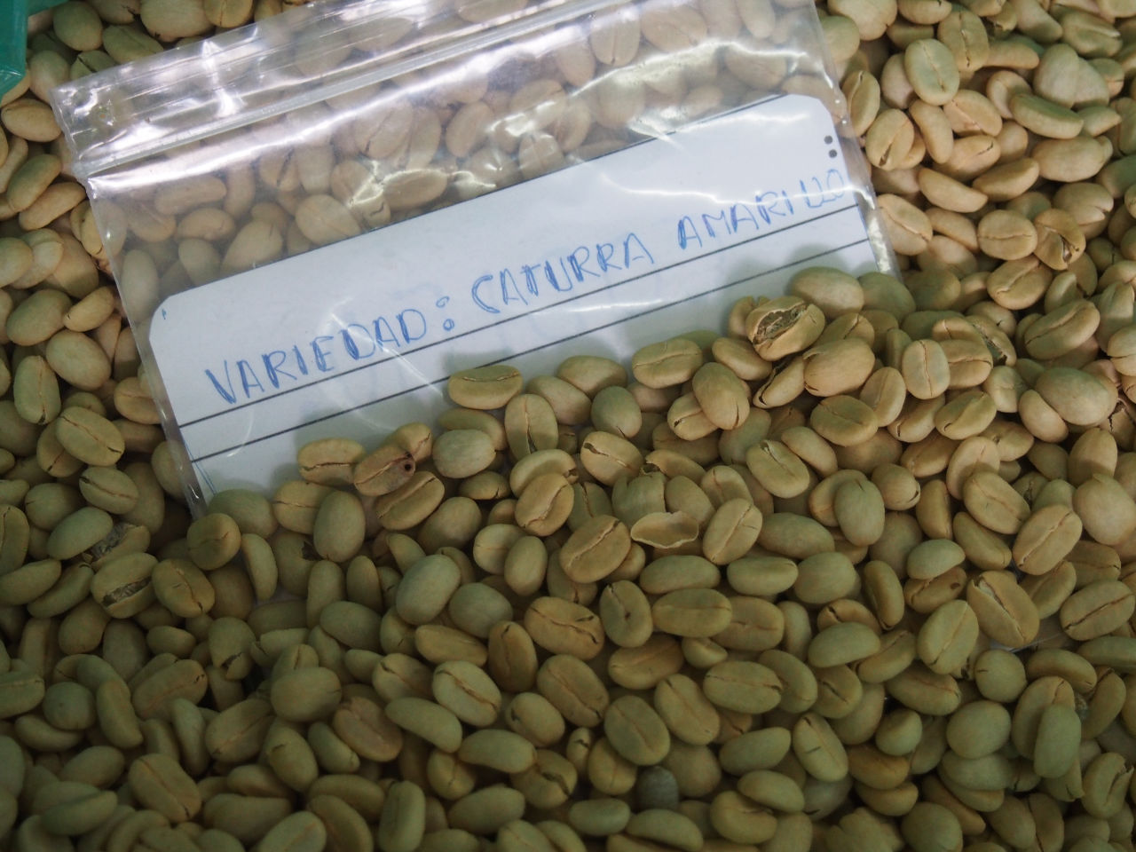 Ann-Kathrin von Caraya Coffee