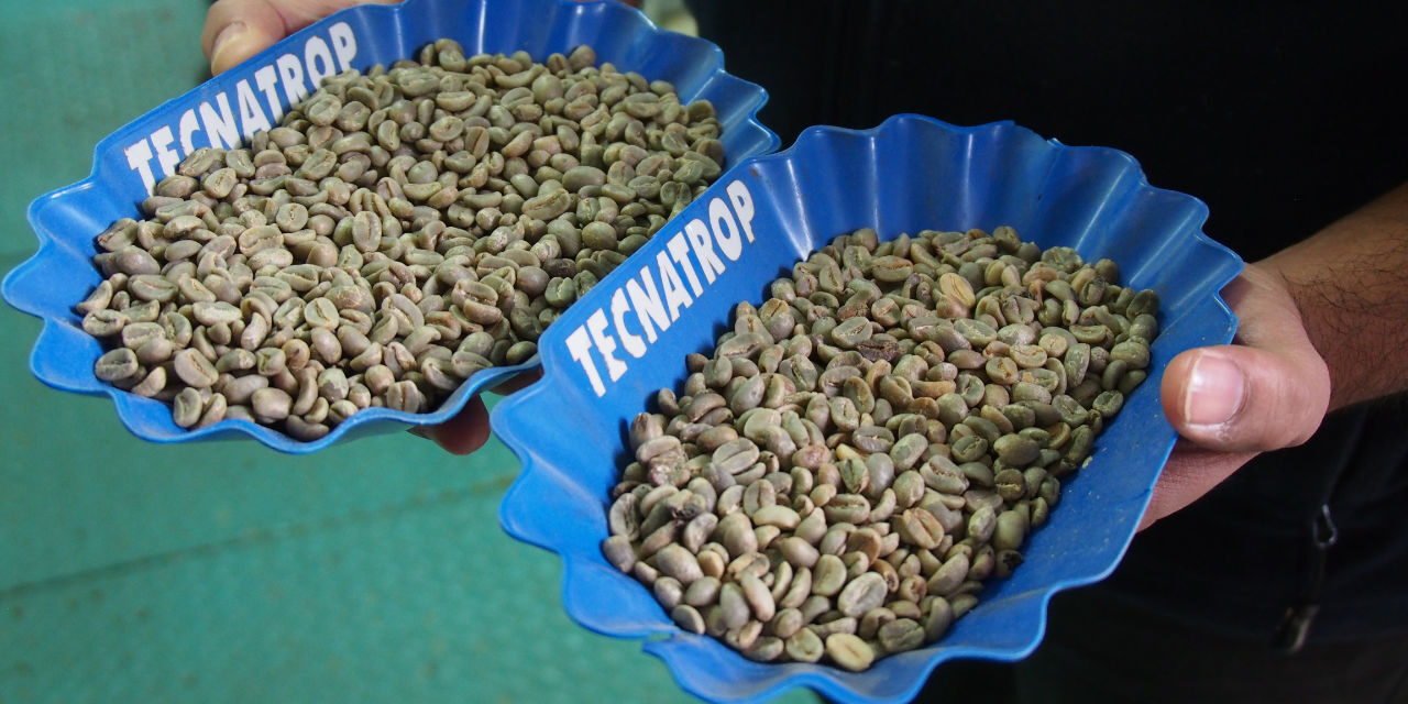 Rohkaffee-Beschaffung in Zeiten von Preisvolatilität: 7 Strategien für 2026