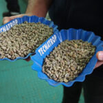 Rohkaffee-Beschaffung in Zeiten von Preisvolatilität: 7 Strategien für 2026