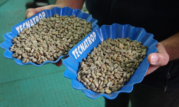 Rohkaffee-Beschaffung in Zeiten von Preisvolatilität: 7 Strategien für 2026